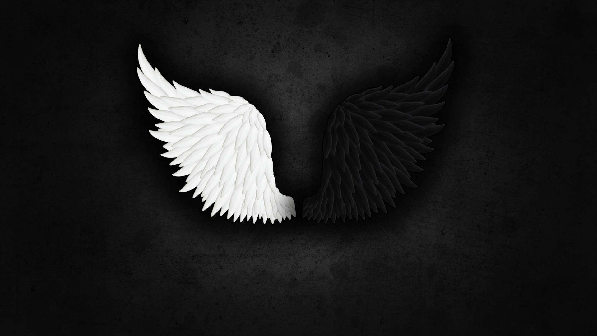 Download Angel Wings Wallpaper 