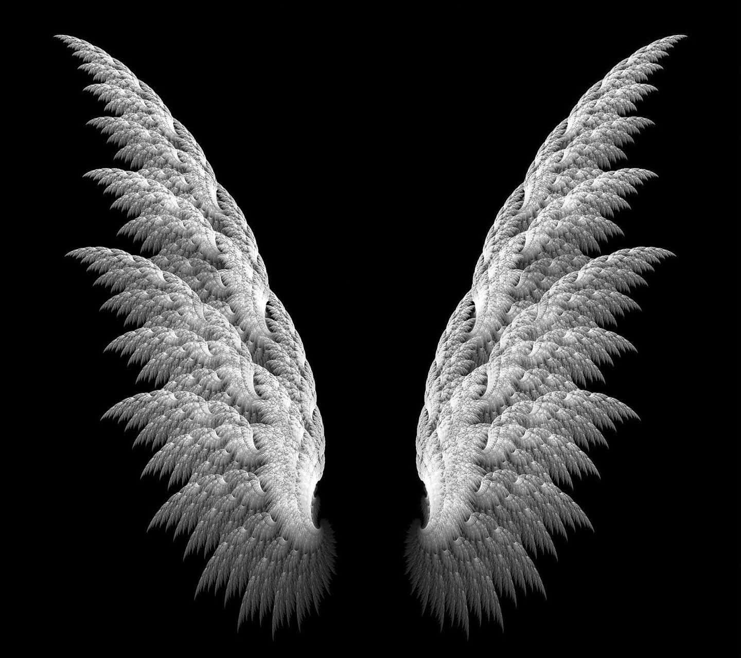 Gothic Feather Angel Wings Picture