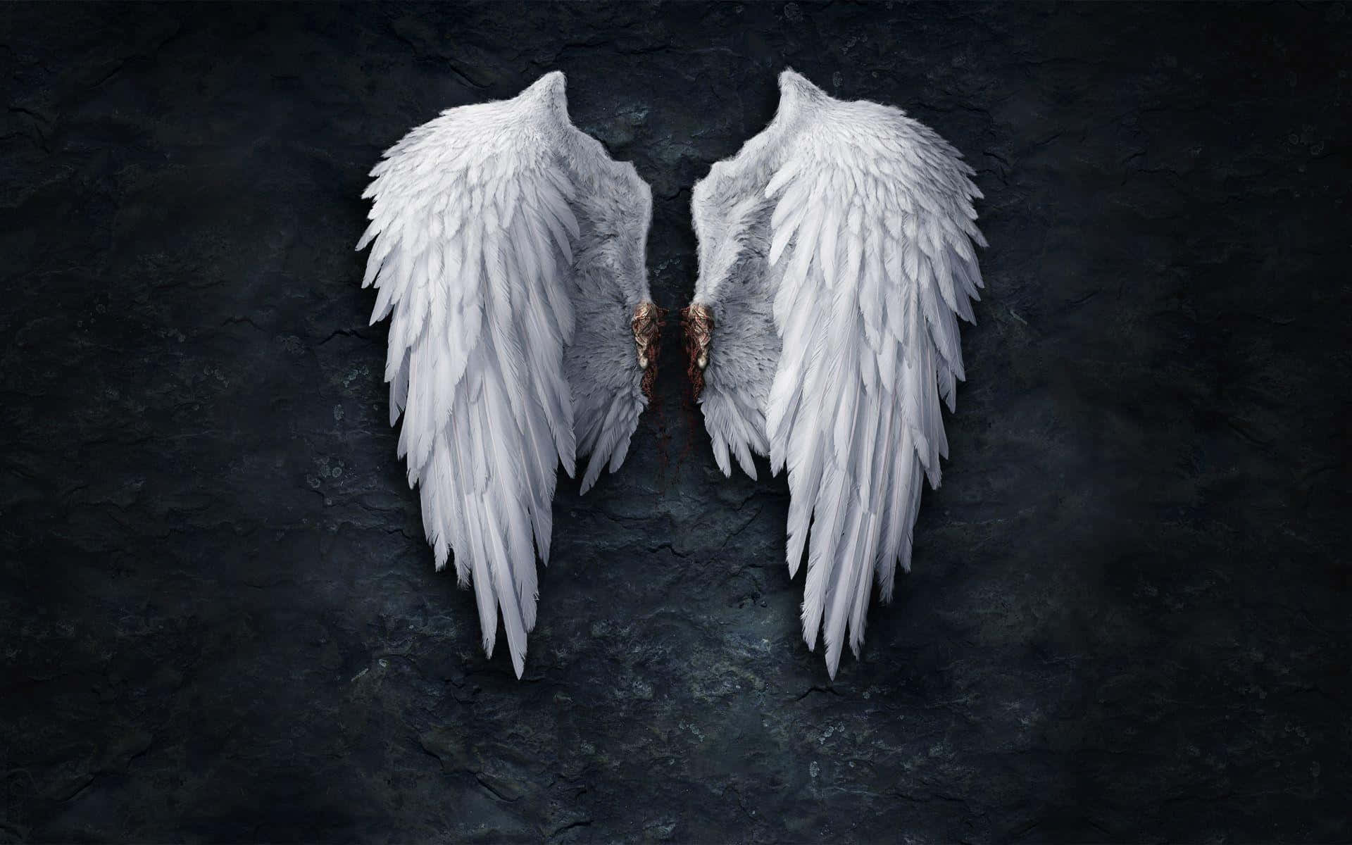 Broken Fallen Angel Wings Picture