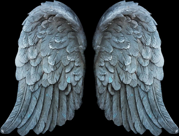 Angel Wings Sculpture PNG