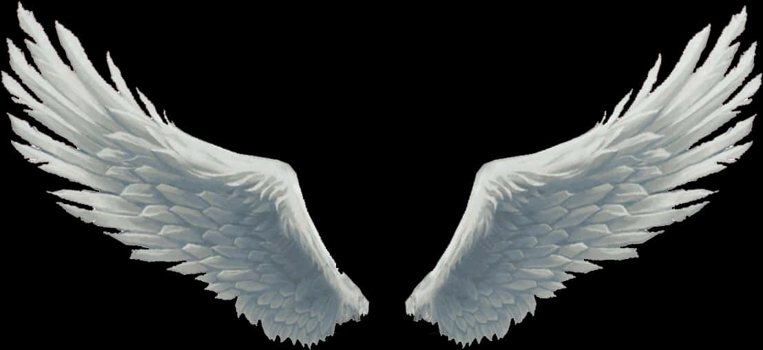 Angel Wings Spread Black Background PNG
