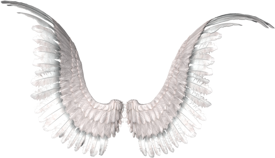 Angel Wings Spread Out PNG