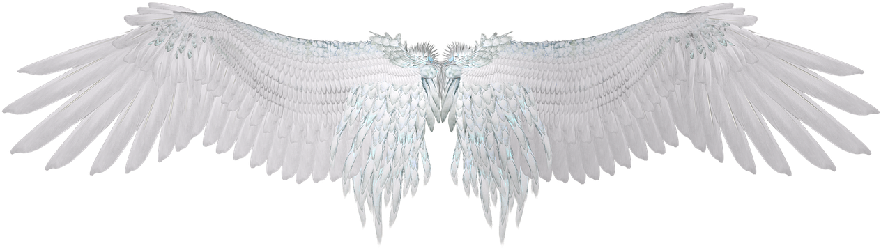 Angel Wings Spread White Feathers PNG