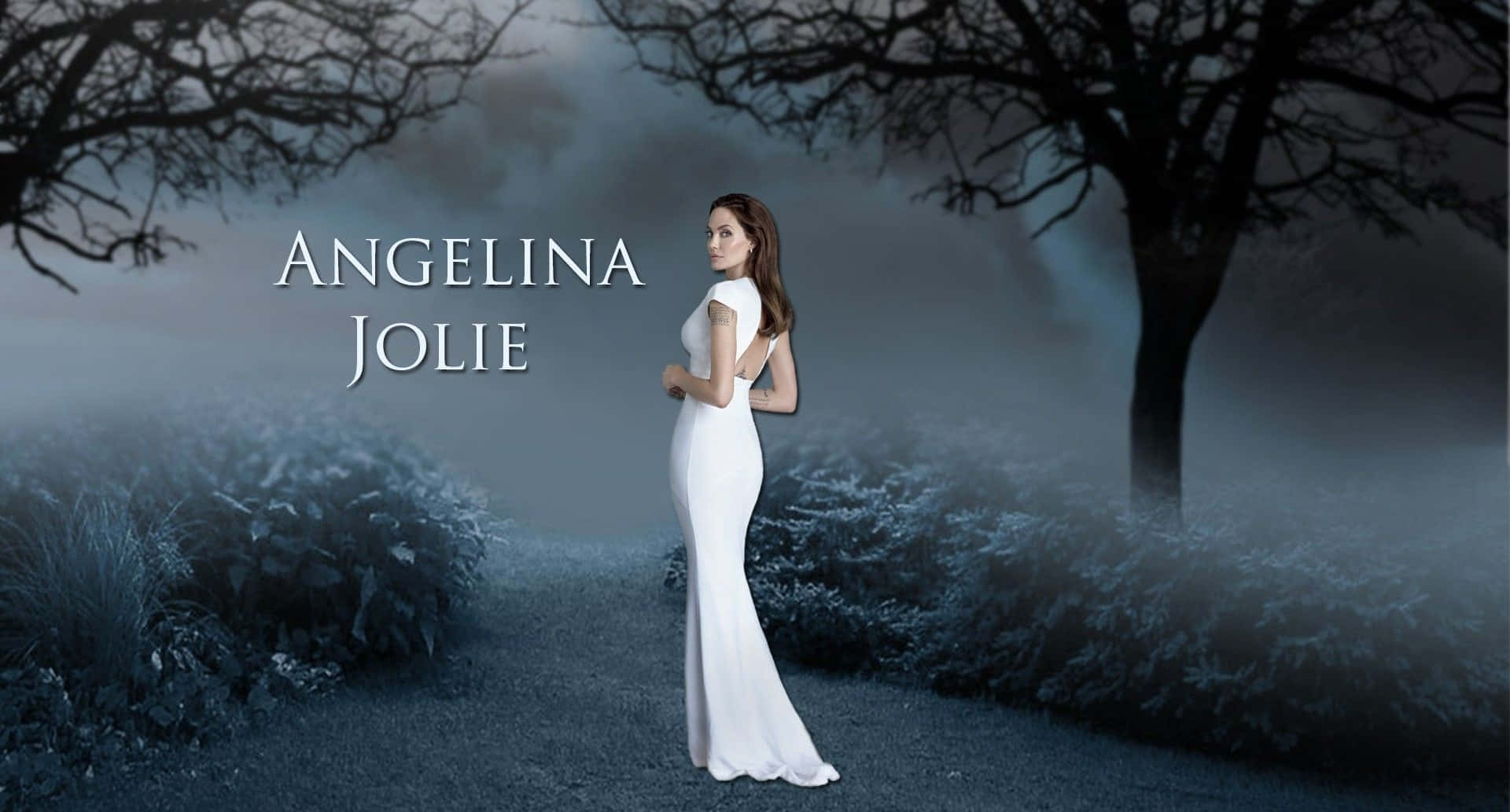 Angelinajolie, Hollywood-schauspielerin Der A-liste