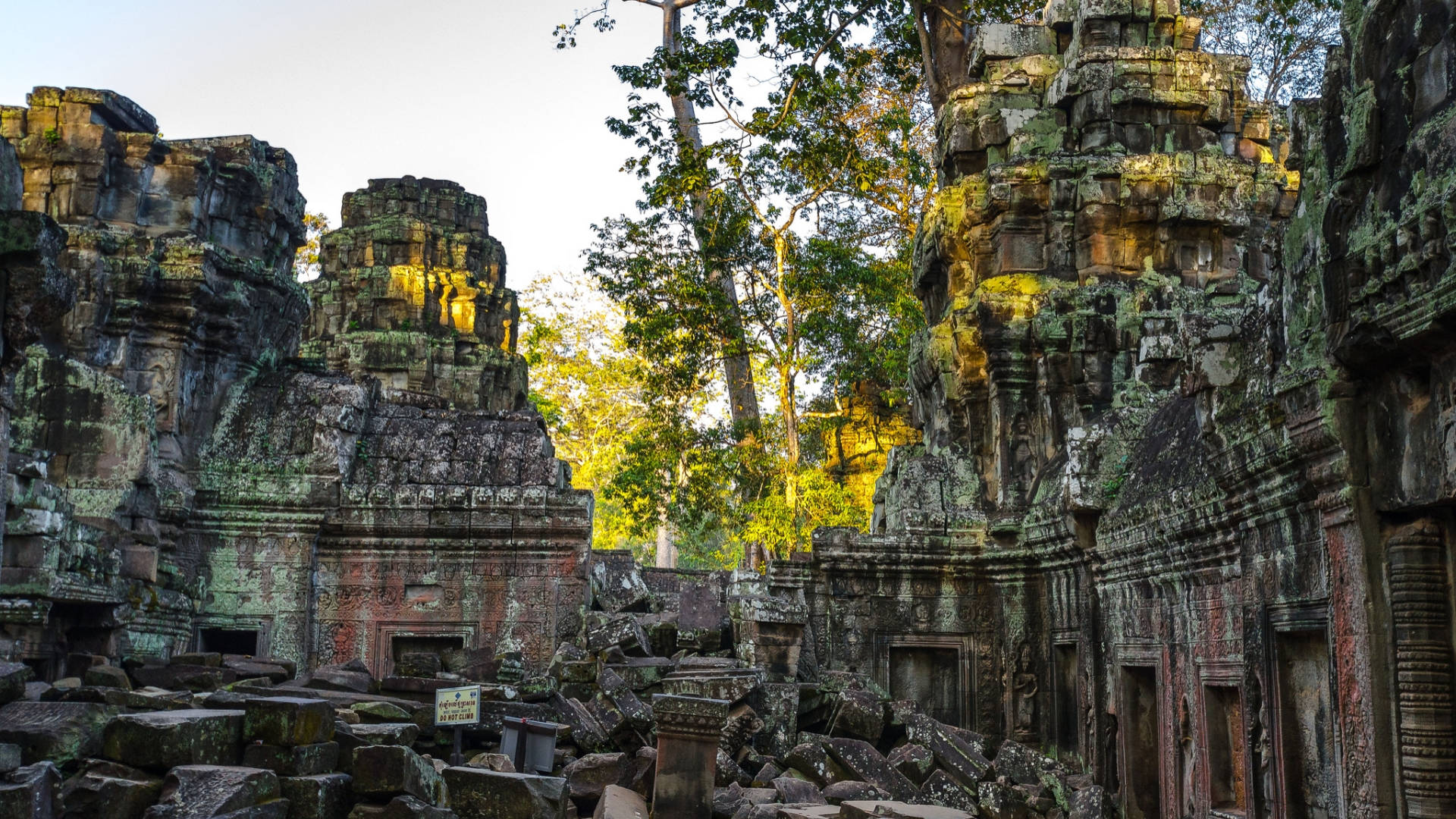 Angkorwat Circondato Dalla Natura Sfondo