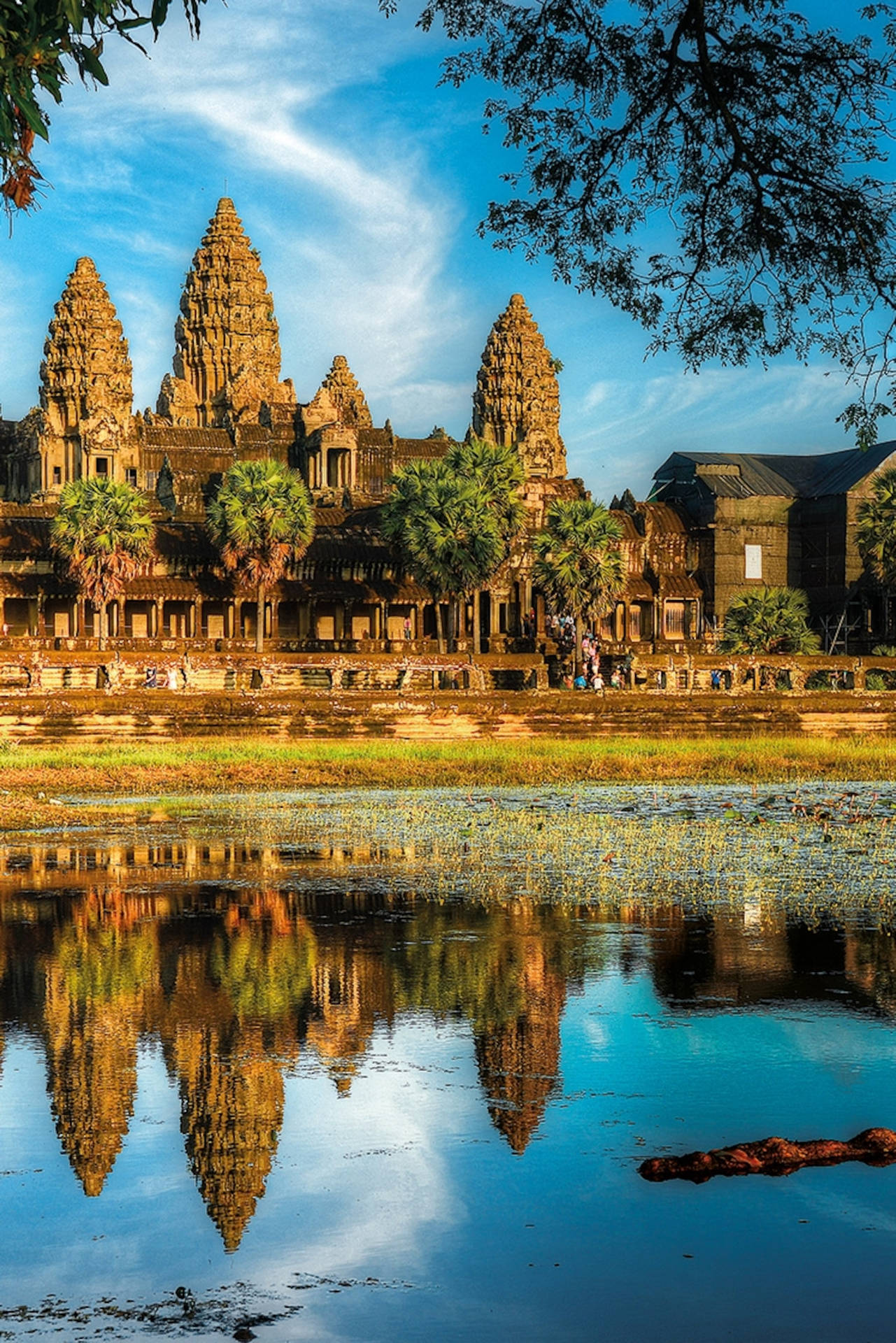 Angkorwat Con Reflejo De Agua Fondo de pantalla