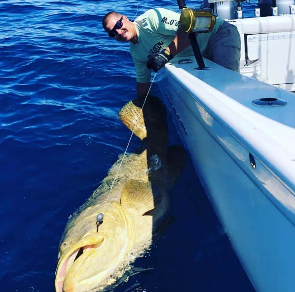 Angler Catches Giant Grouper Wallpaper