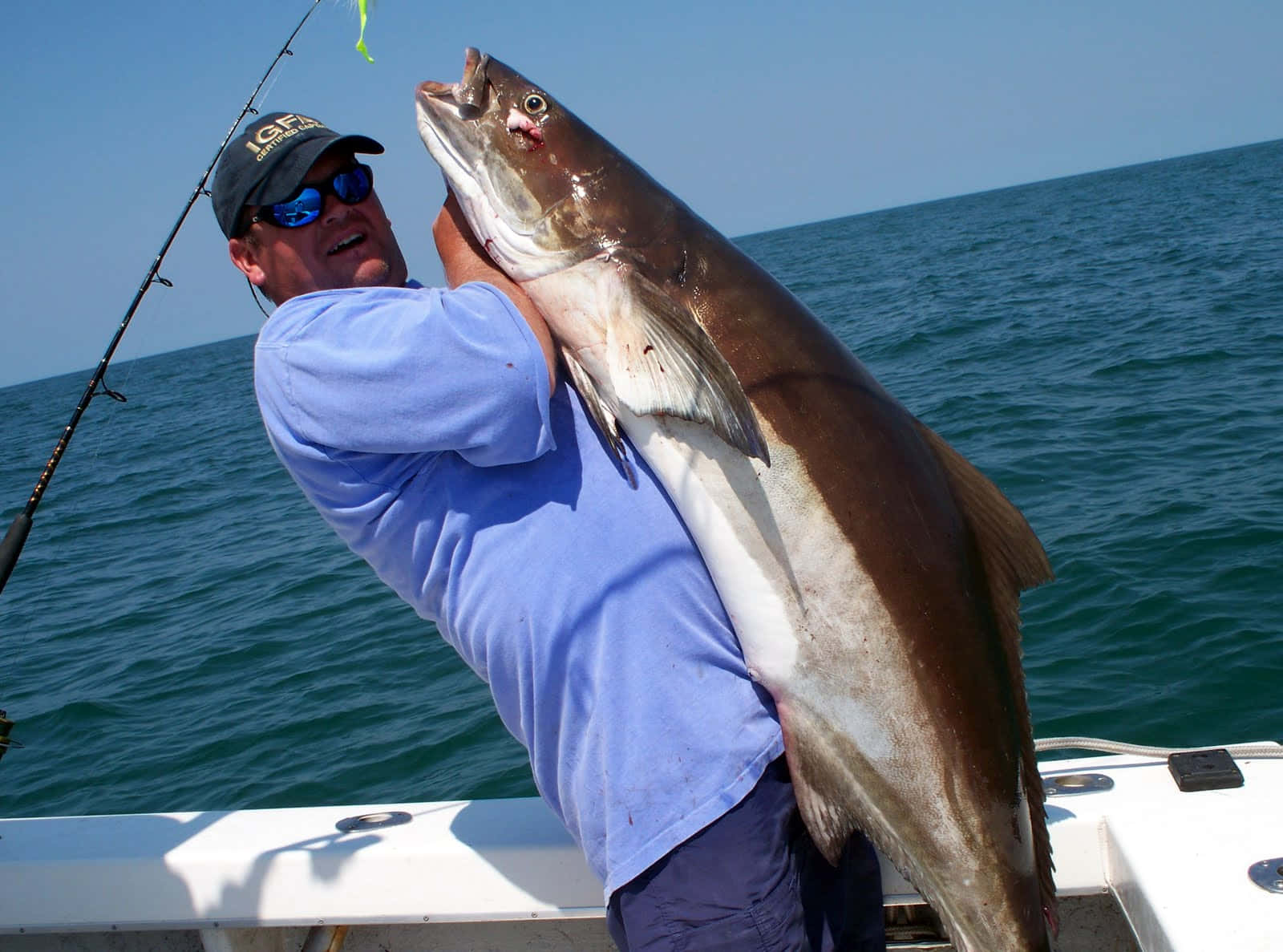 Anglerwith Large Cobia Catch Wallpaper
