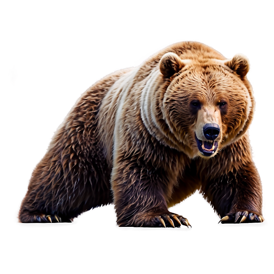 Download Angry Bear Png 15 | Wallpapers.com