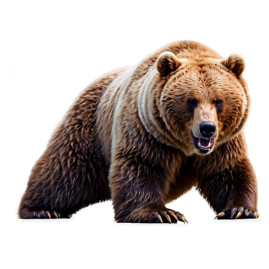 Angry Bear Png 15 PNG