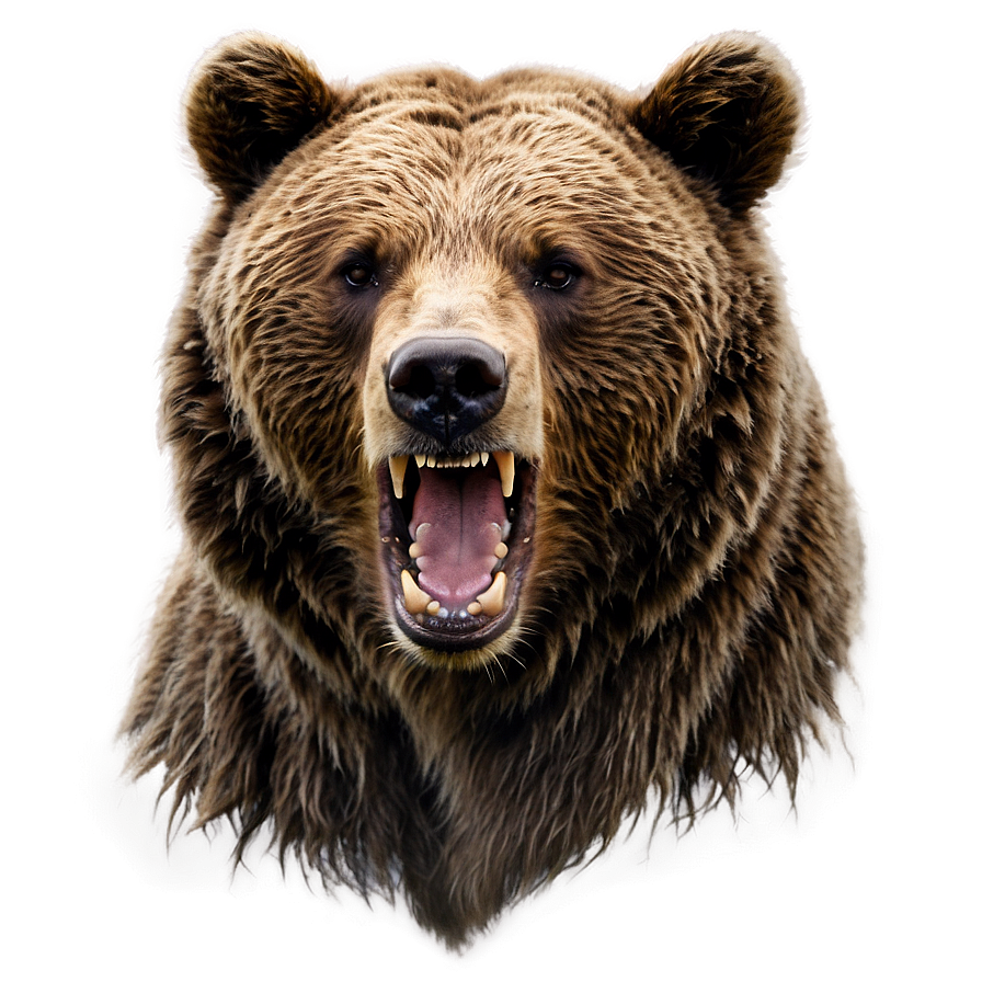 Angry Bear Png Ert89 PNG