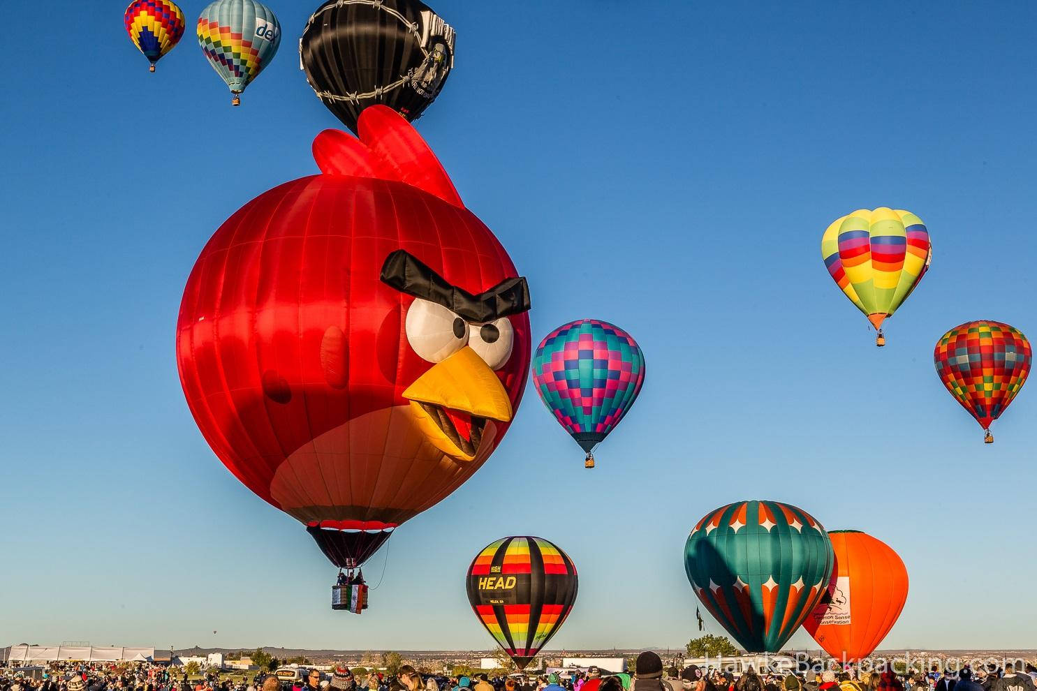 Angry Bird Balloon Albuquerque Wallpaper