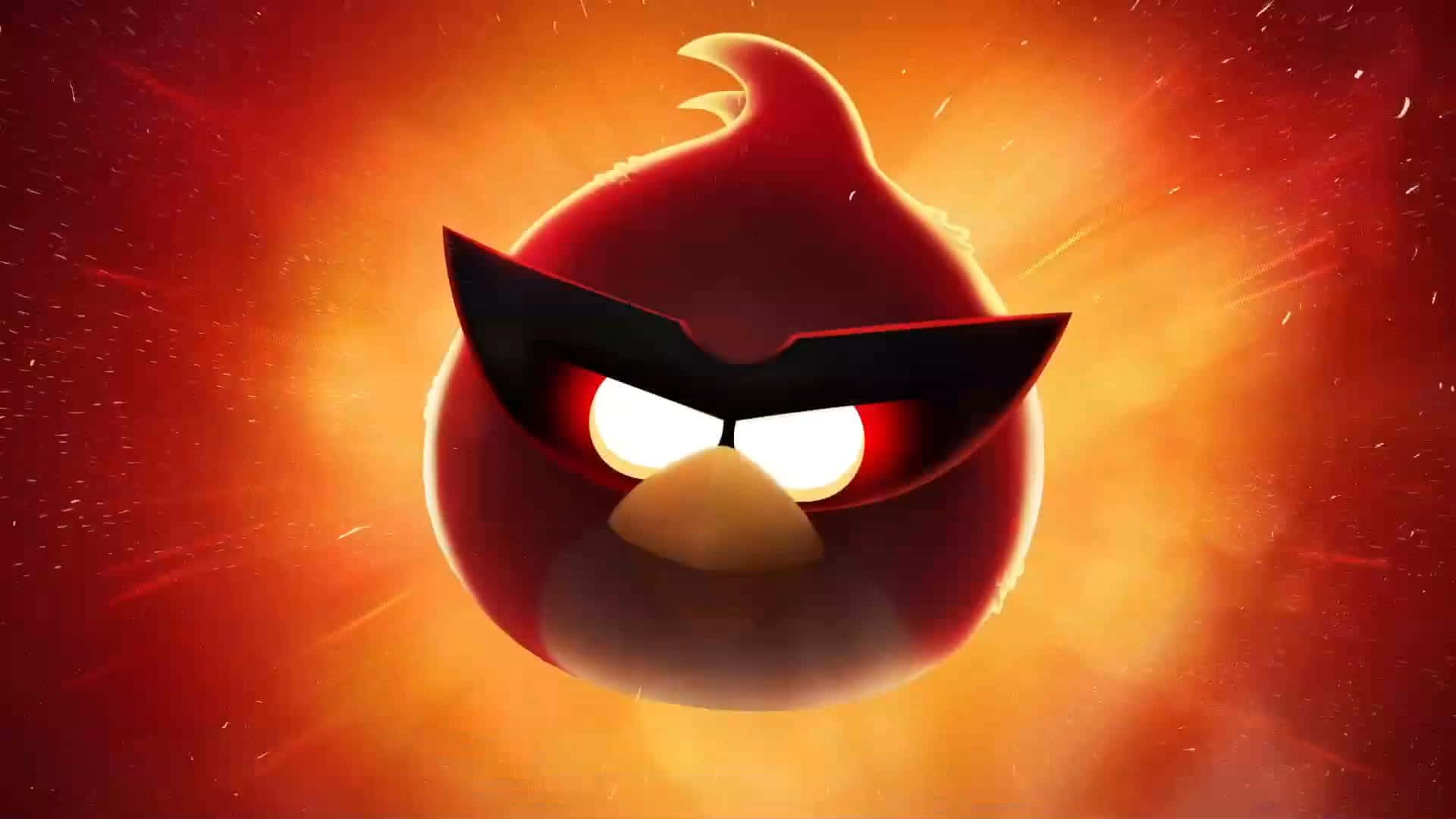 Angry Birds Hd Wallpapers