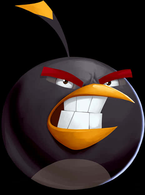 Angry Birds Black Bird Character PNG