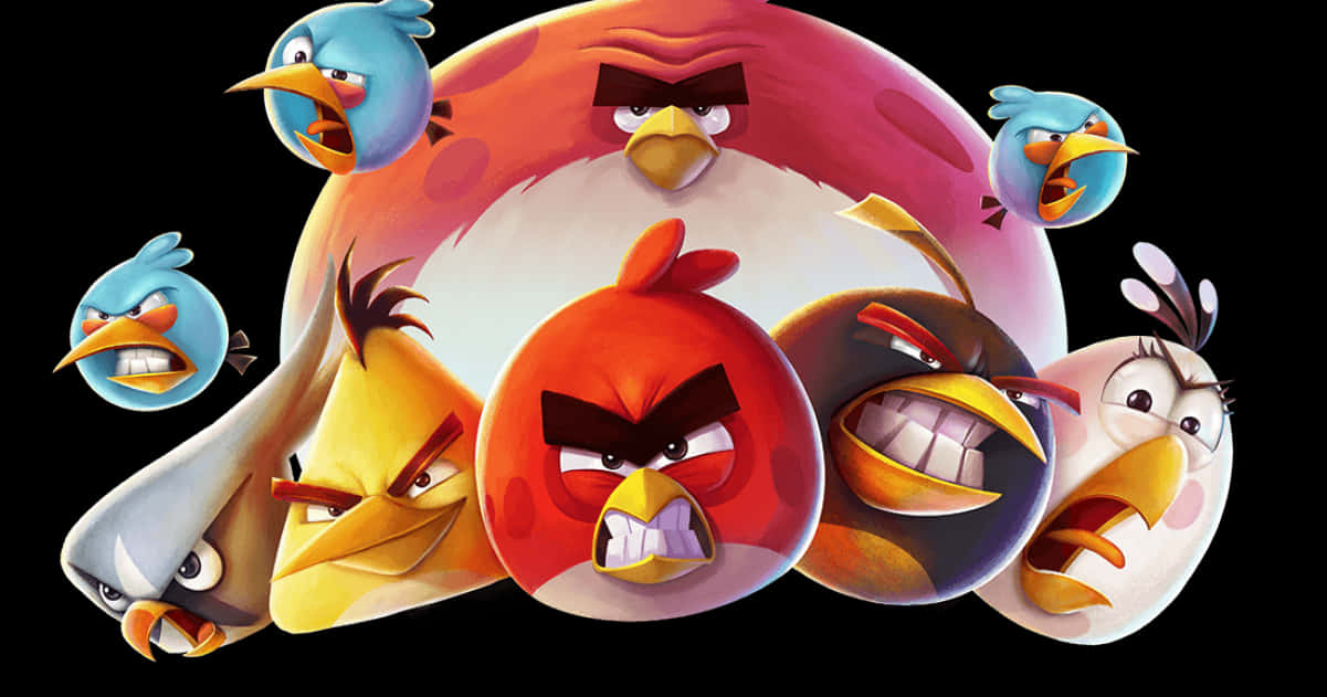 Angry Birds Character Collage PNG