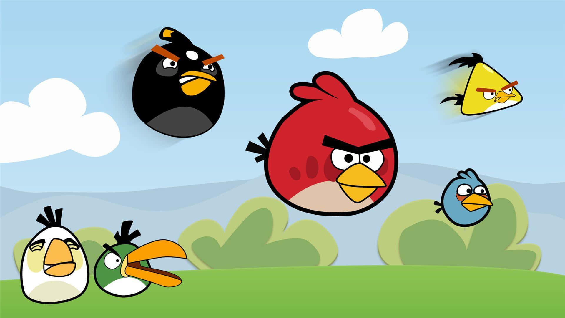 Angry Birds Characters Flyingand Ground Wallpaper