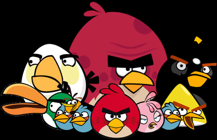 Angry Birds Characters Group PNG