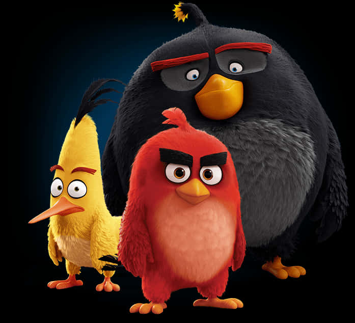 Angry Birds Characters Group Portrait PNG