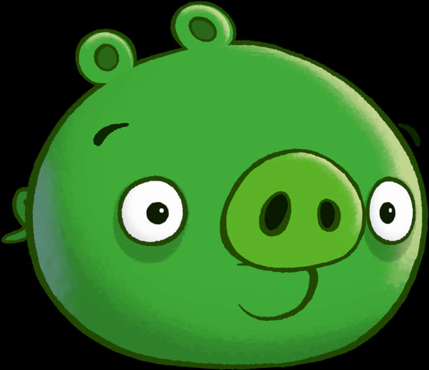 Angry Birds Green Pig Character PNG