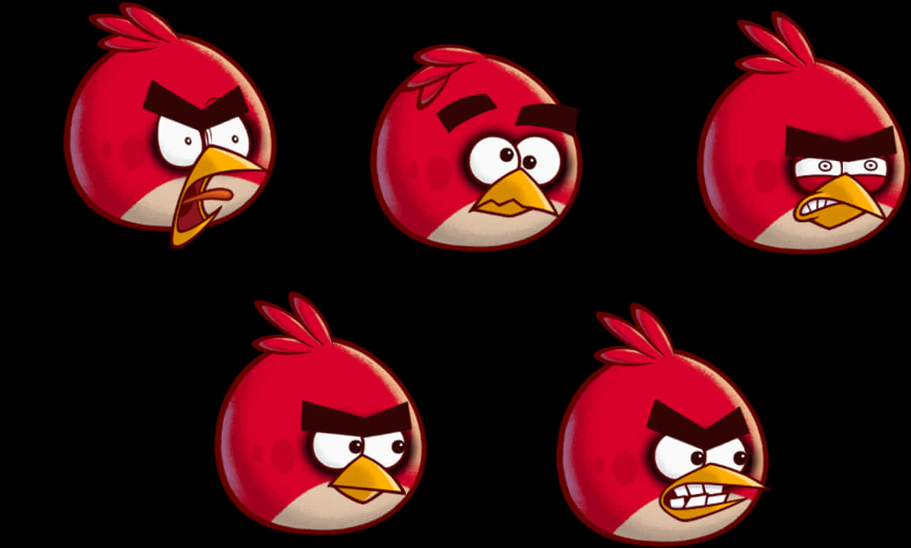 Angry Birds Red Character Expressions PNG