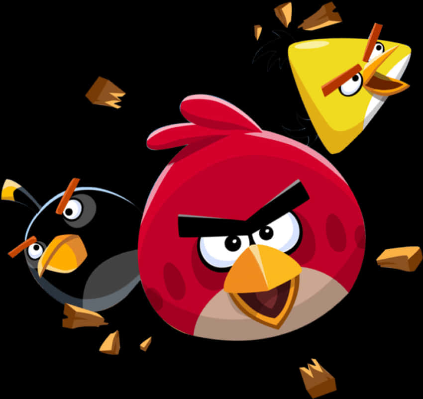 Angry Birds Trio Characters PNG