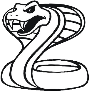 Angry Cobra Cartoon Graphic PNG