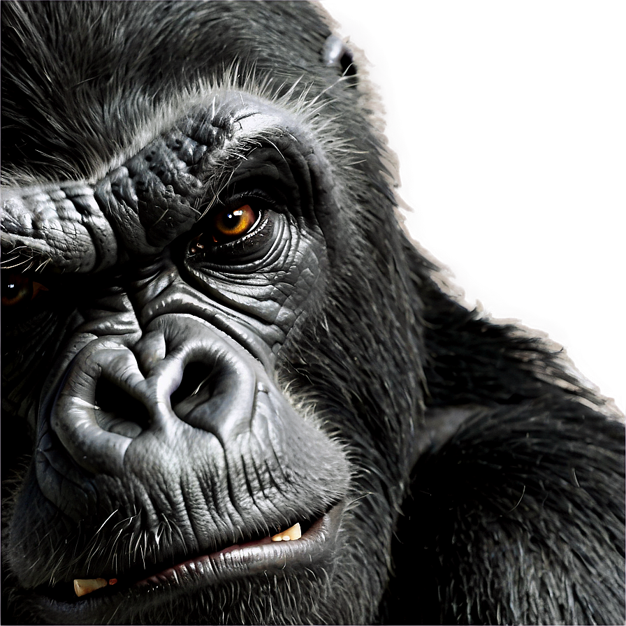 Angry Gorilla Eyes Png Qae PNG