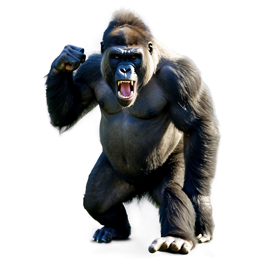 Angry Gorilla In Action Png 76 PNG