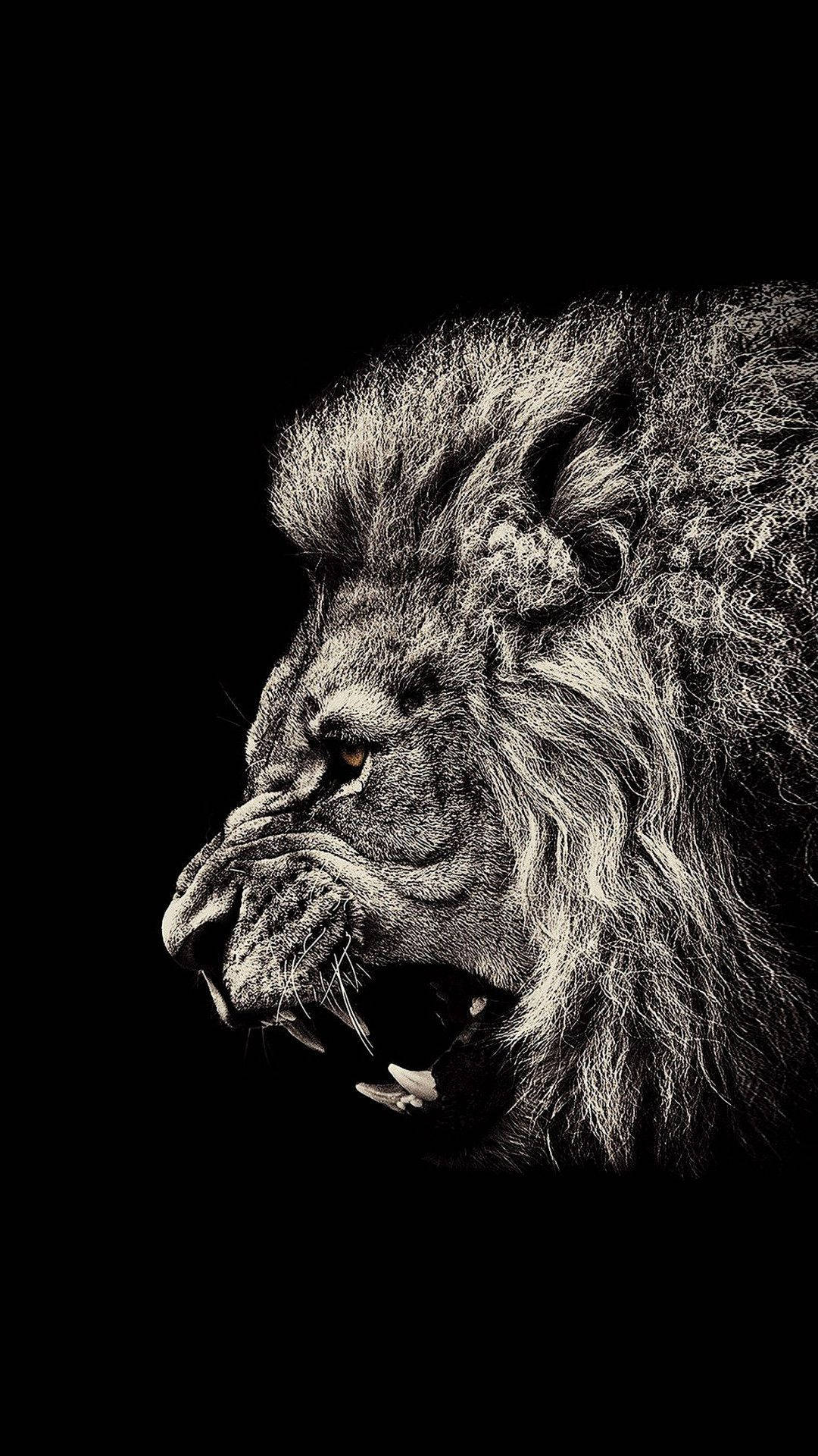 Angry Lion Iphone Art Wallpaper