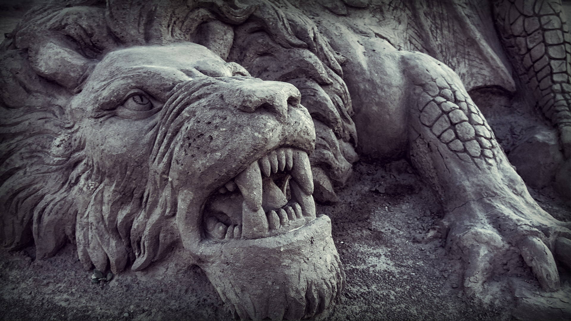 Angry Lion Sand Sculpture Wallpaper