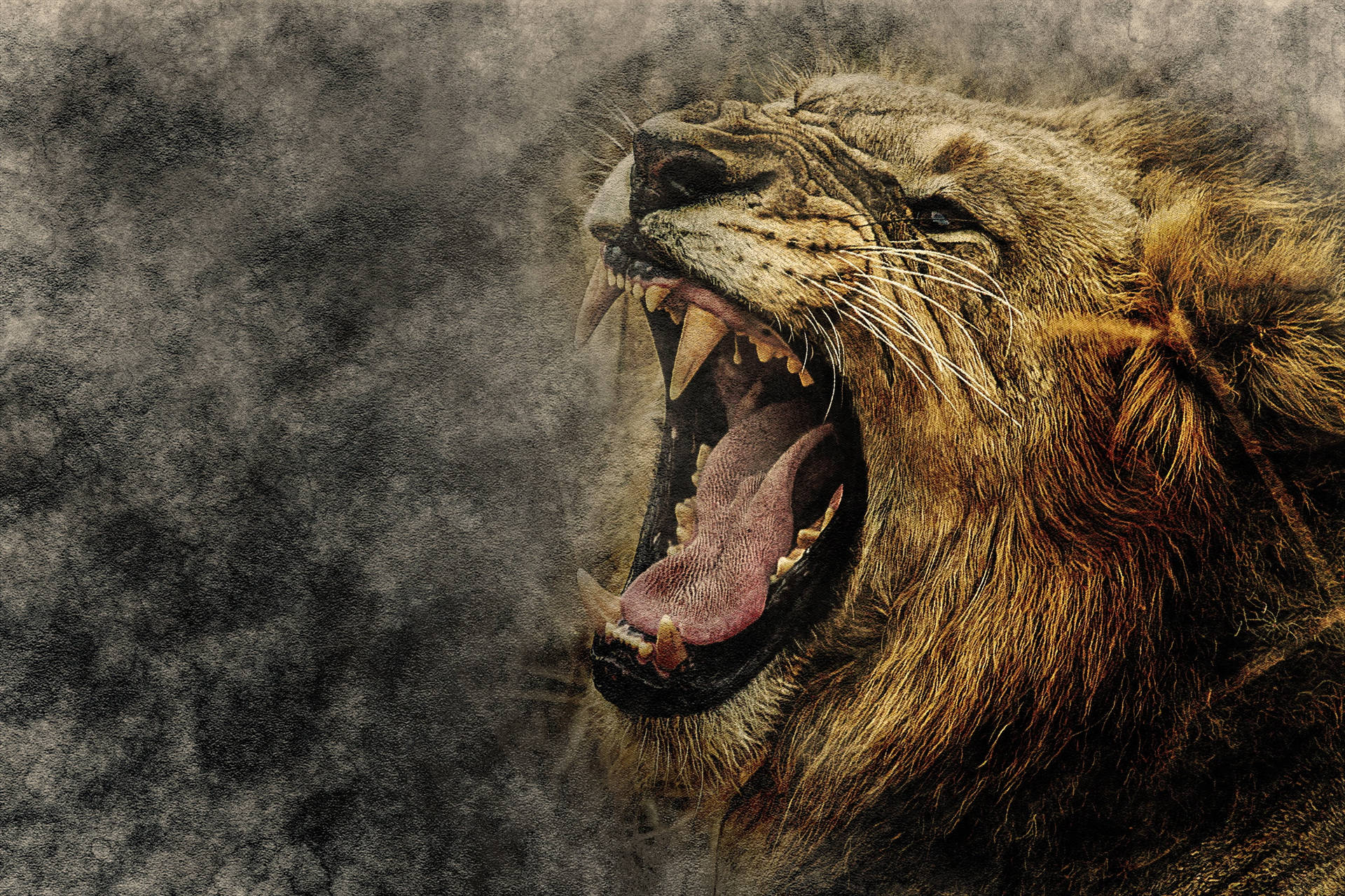 Angry Lion Smoky