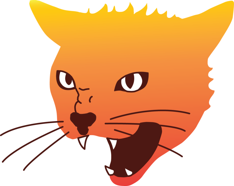 Angry Orange Cat Cartoon PNG
