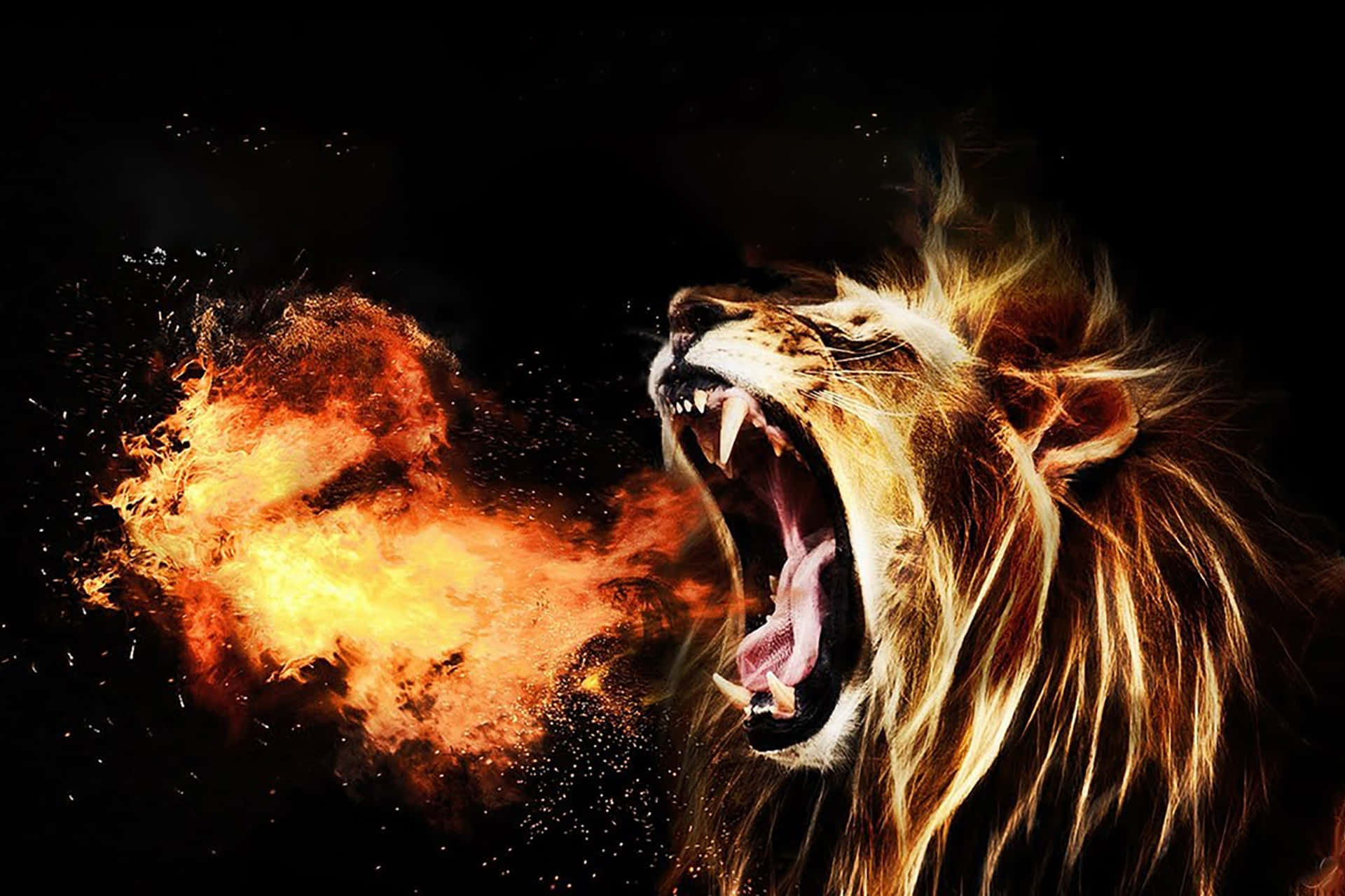 Angry Overt Lion Wallpaper