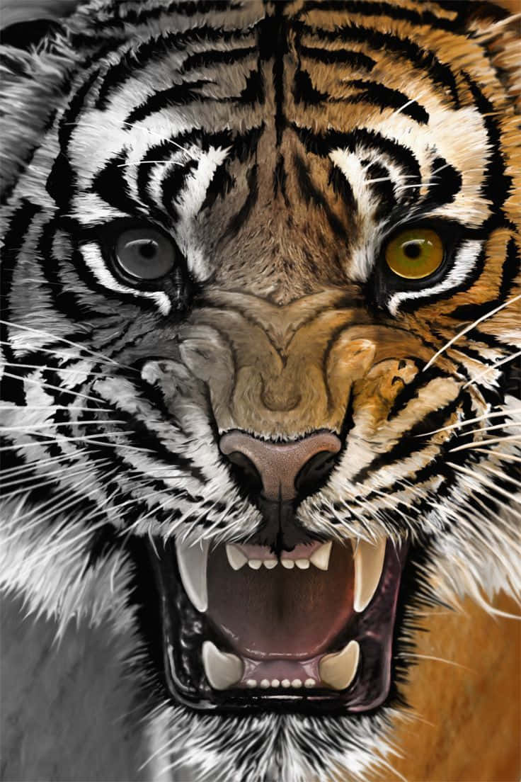 Angry Tiger Face Background
