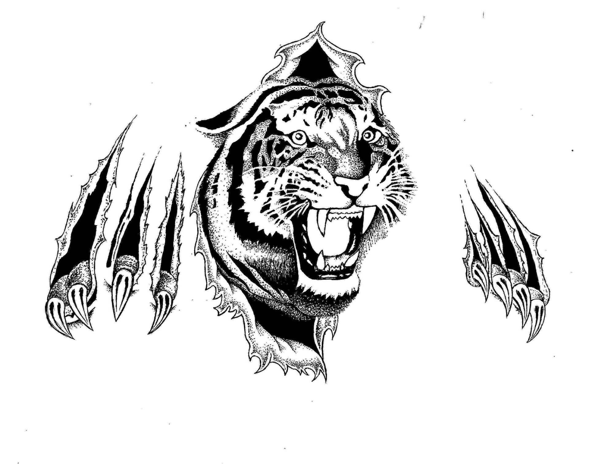 Angry Tiger Hd Tattoo Wallpaper
