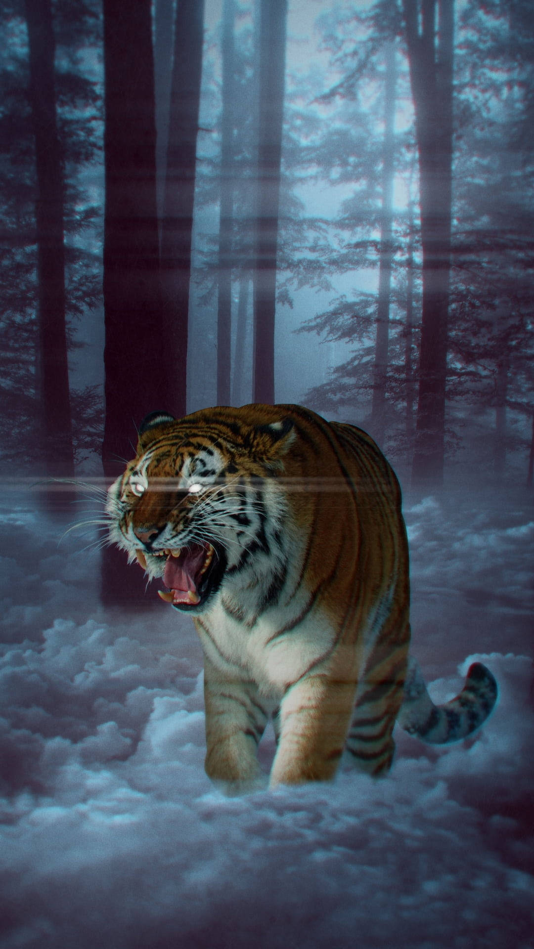Angry Tiger In Forest Picture