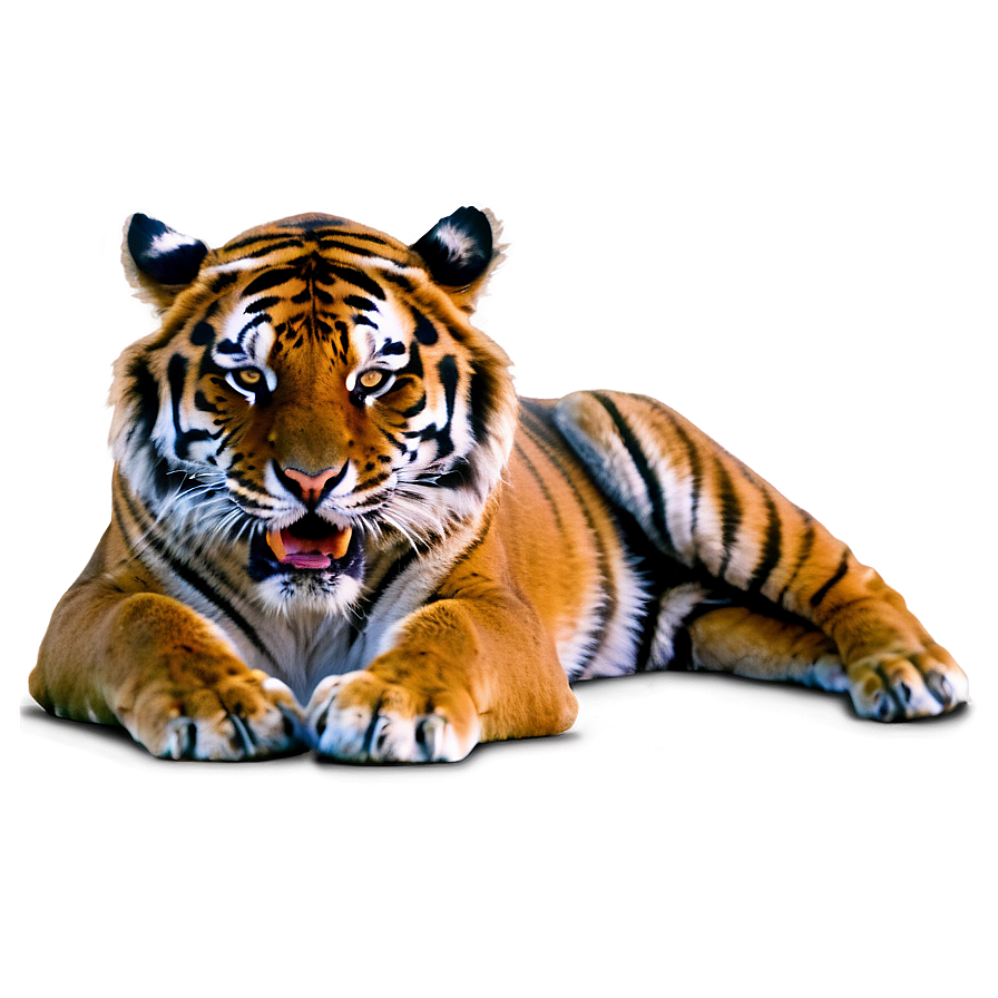Angry Tiger Png 6 PNG