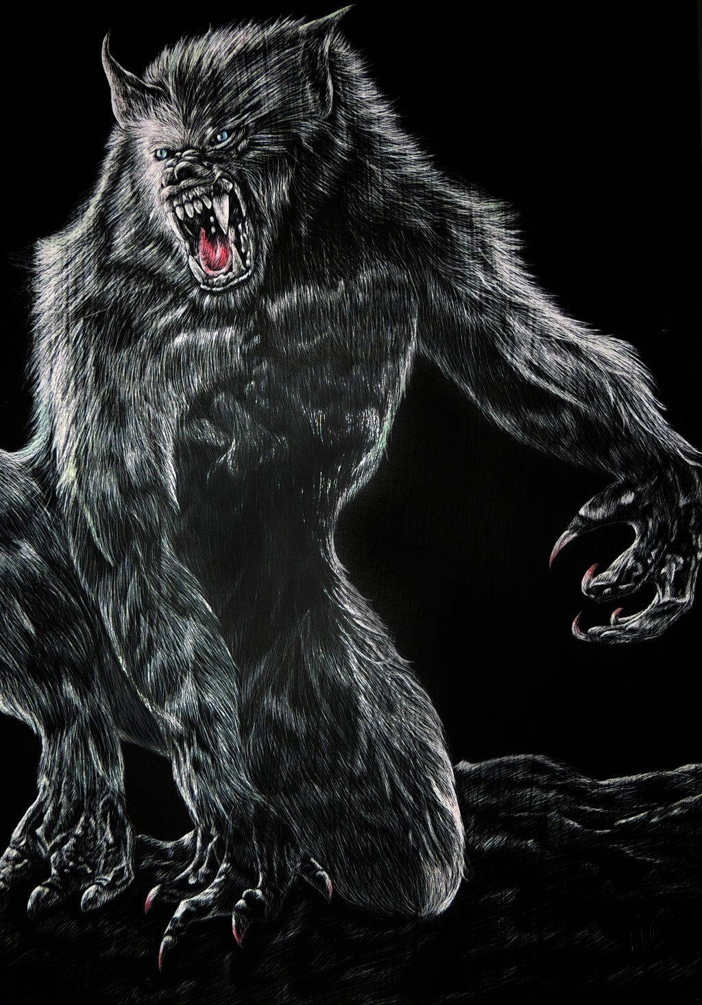 An angry werewolf stares menacingly into the night. Wallpaper