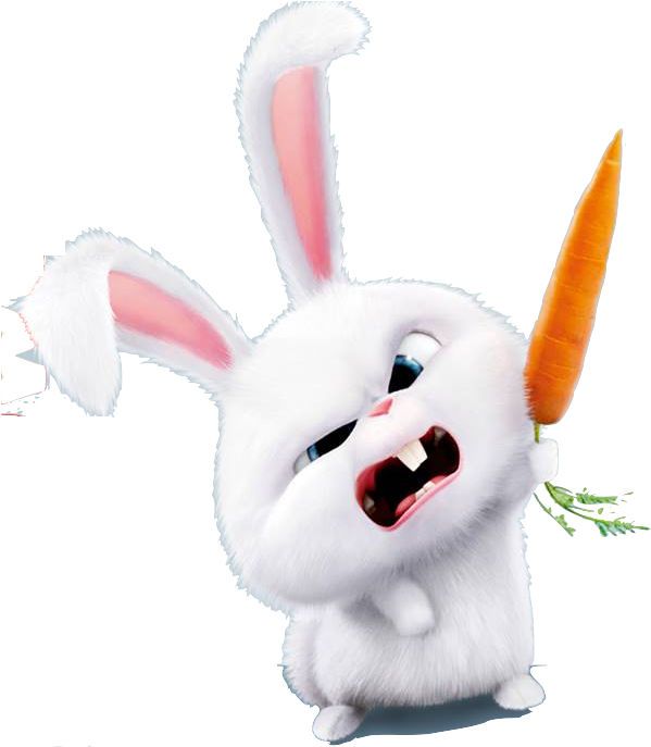 Angry White Bunny Carrot Stick PNG