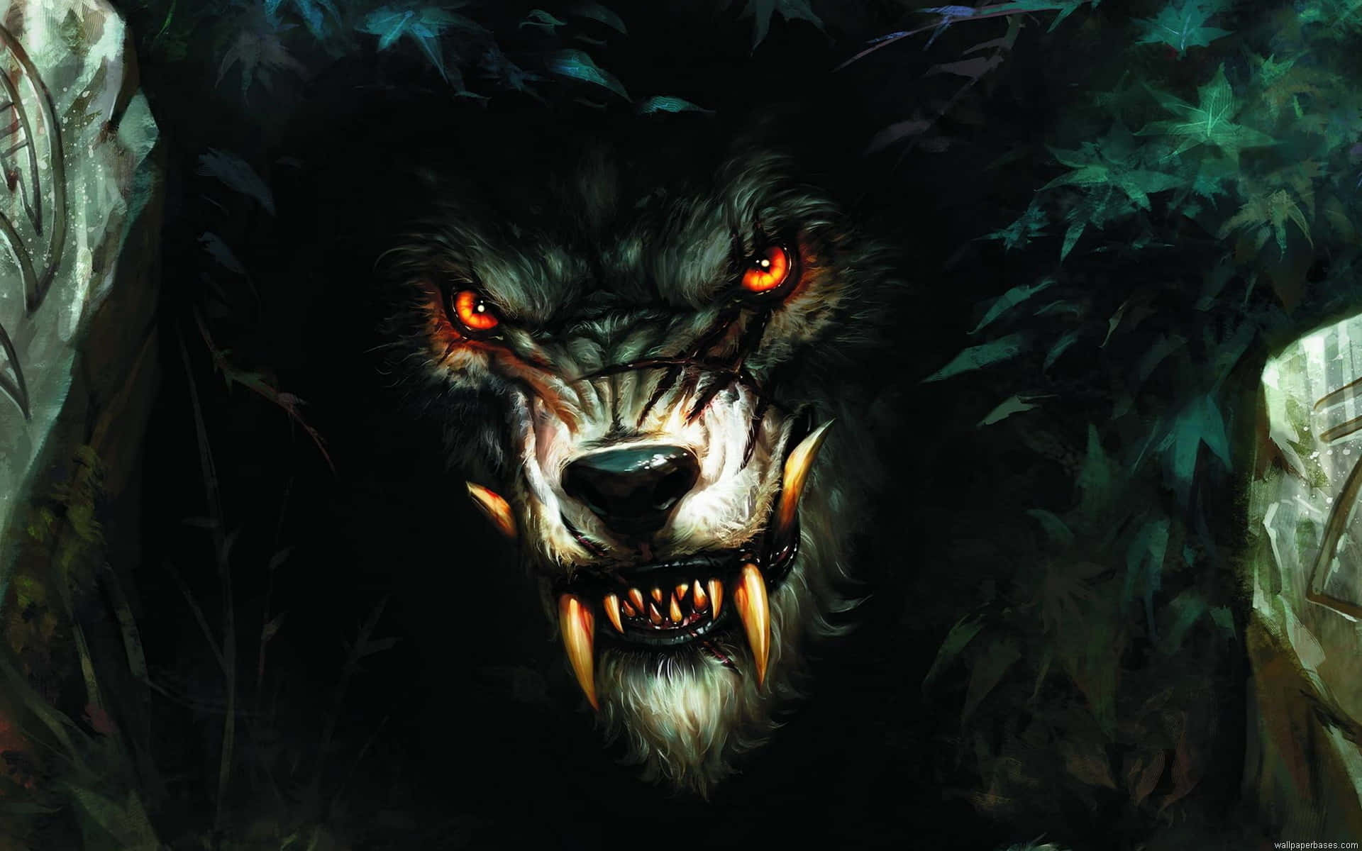 Ferocious Angry Wolf in the Wild Wallpaper