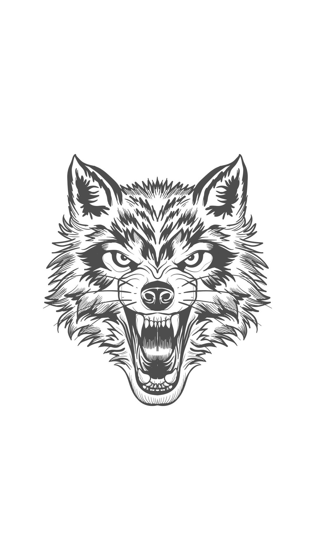 Angry Tribal Wolf Tattoo Design Background HD wallpaper  Pxfuel