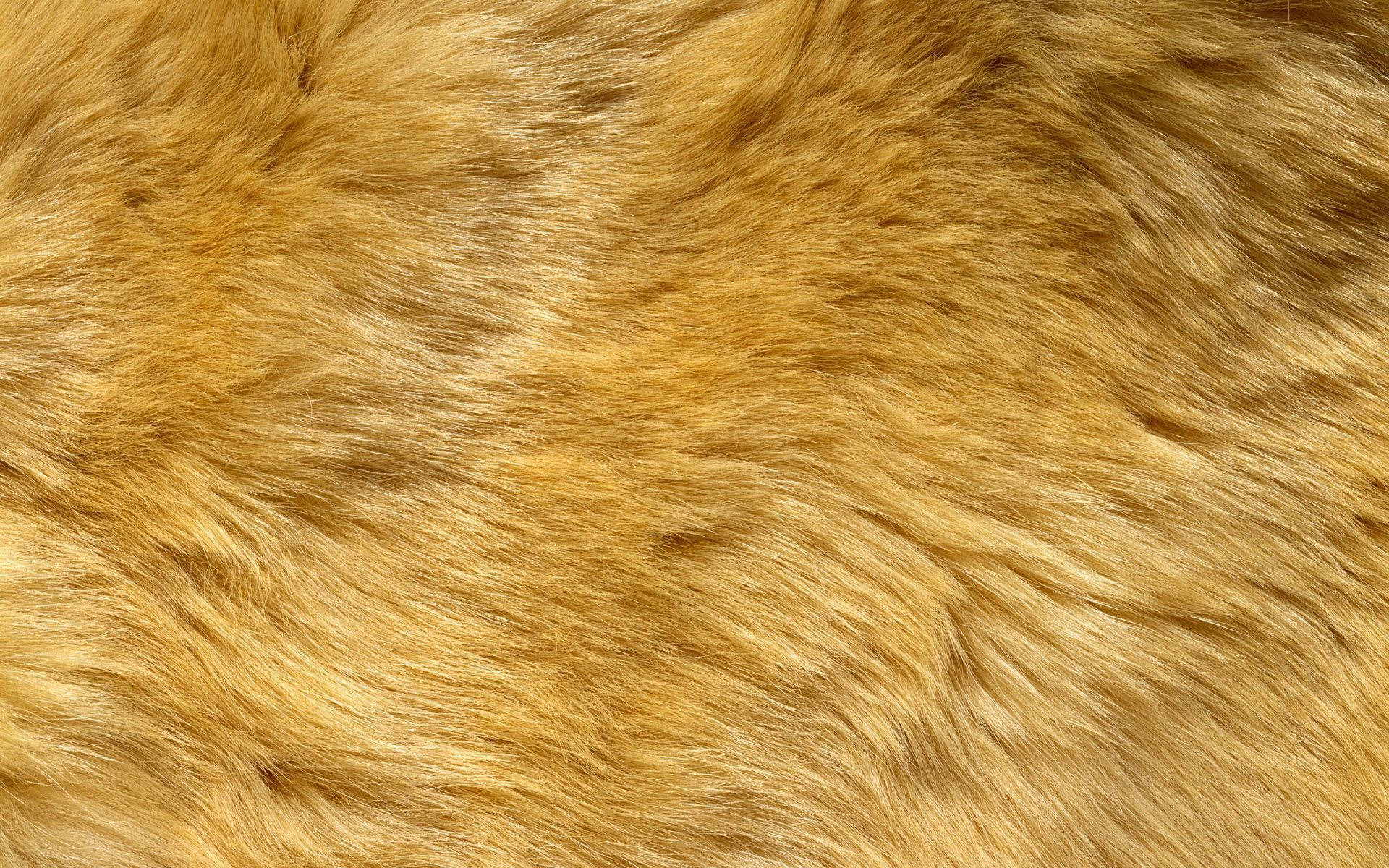 Animal Fur In Yellow Wallpaper