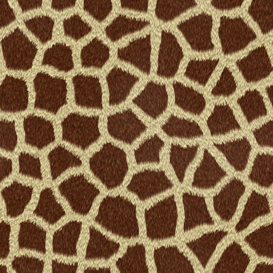 A closeup of furry animal fur textures