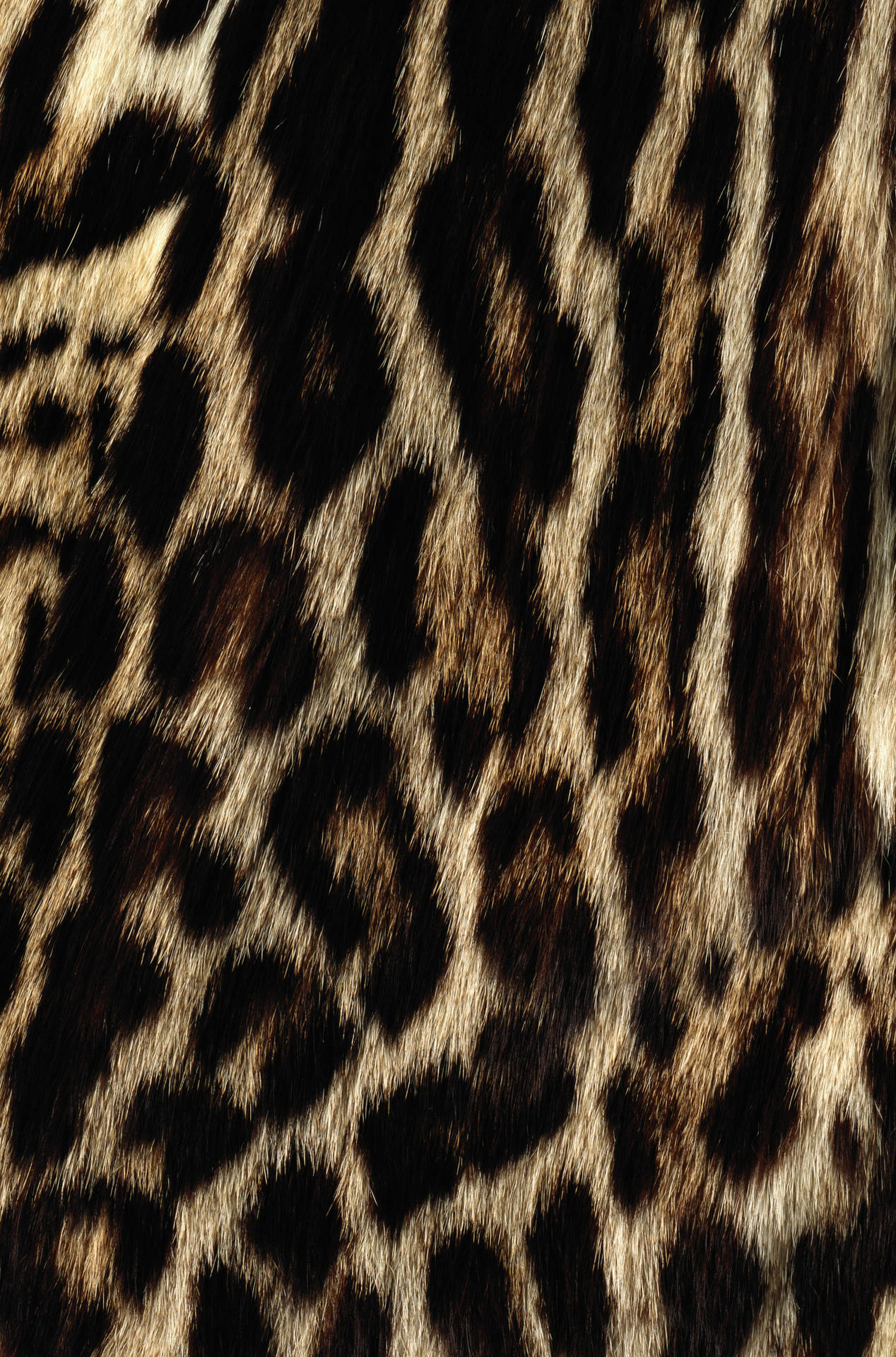 Animal Fur With Prints Wallpaper