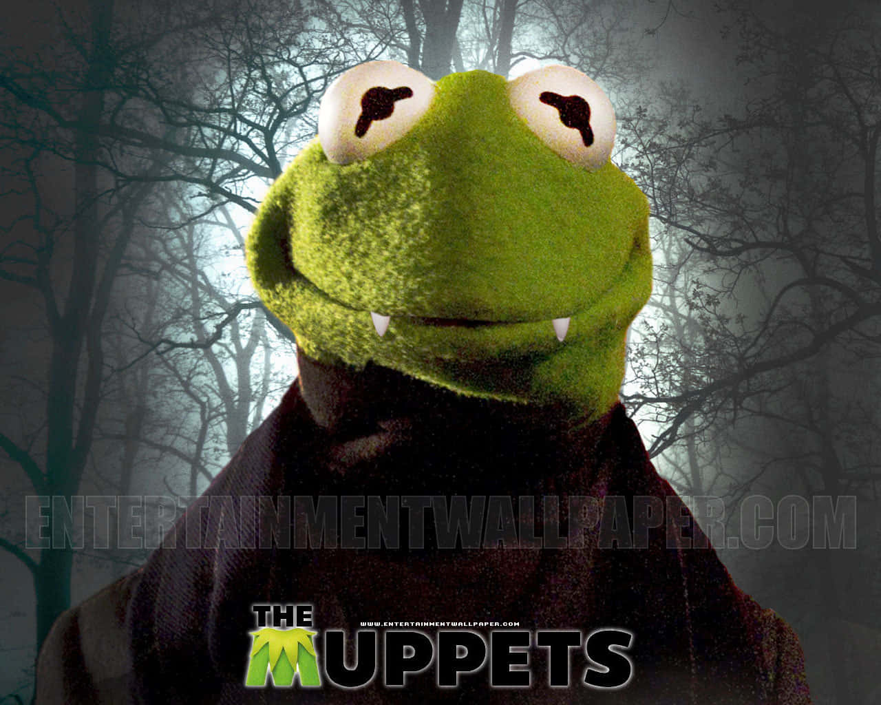 Animal Muppet - Come Join the Fun! Wallpaper