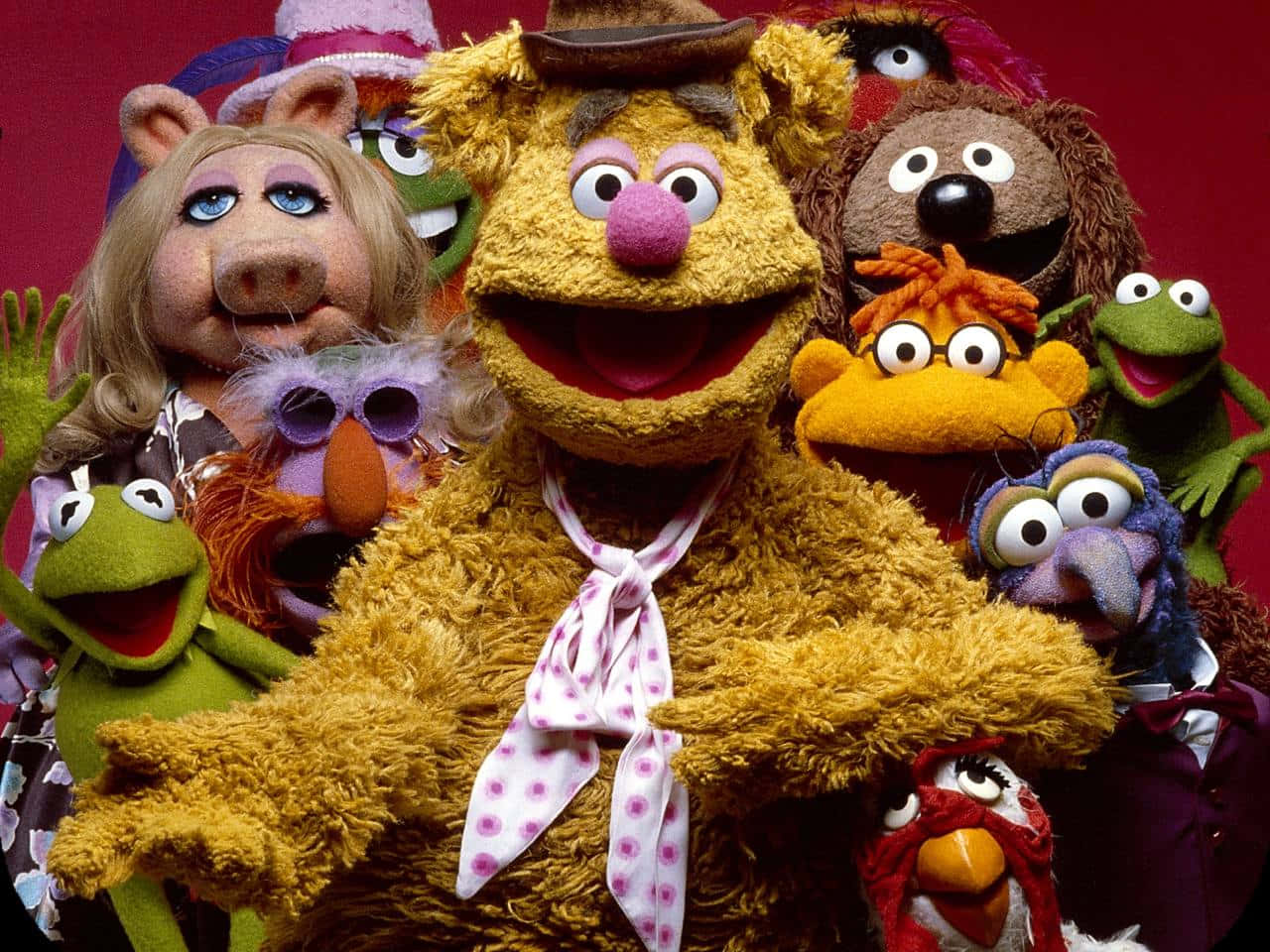 Dyre Muppet bringer smil og latter for alle Wallpaper