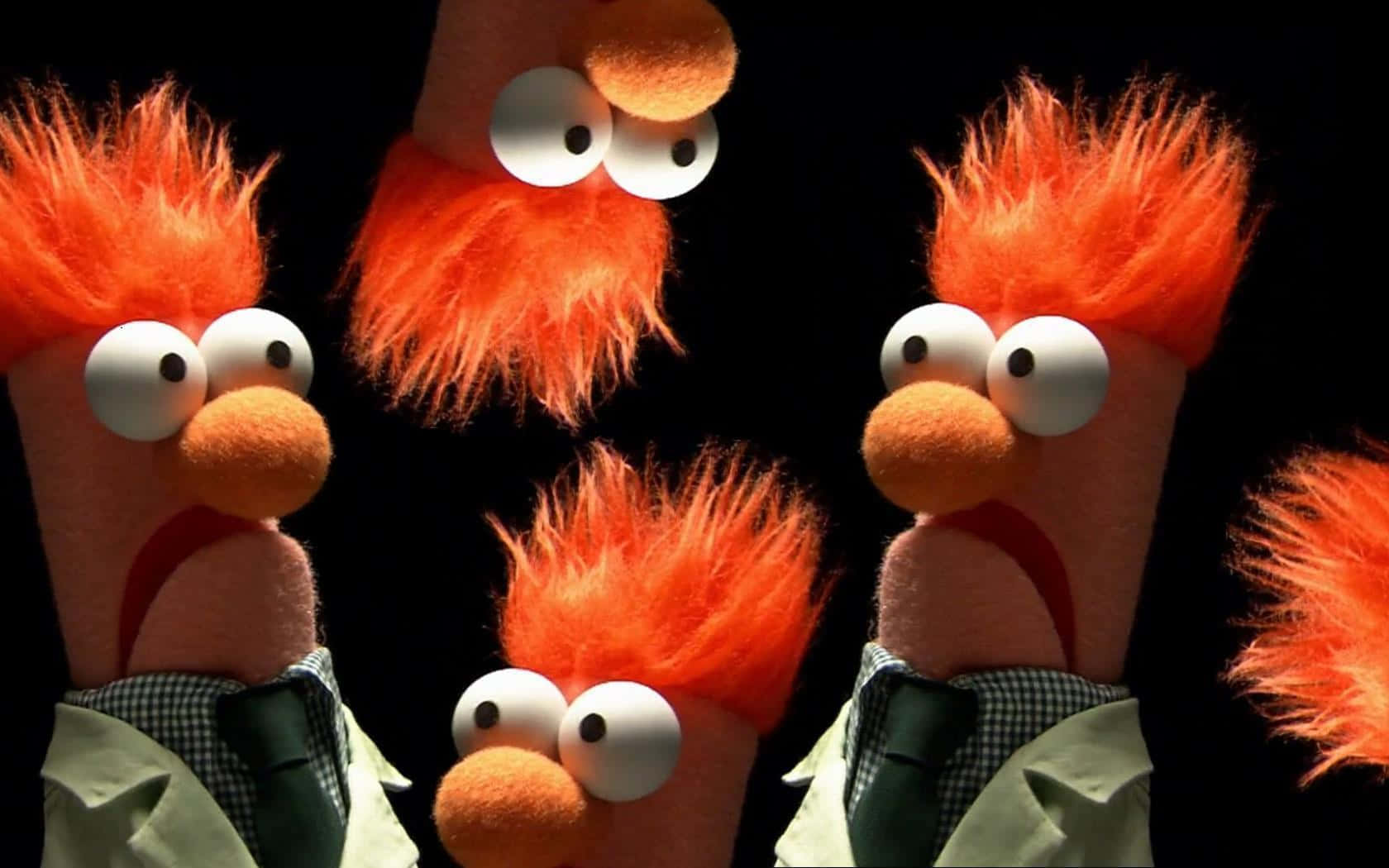 Muppets - en gruppe af orange fyldte dyr Wallpaper