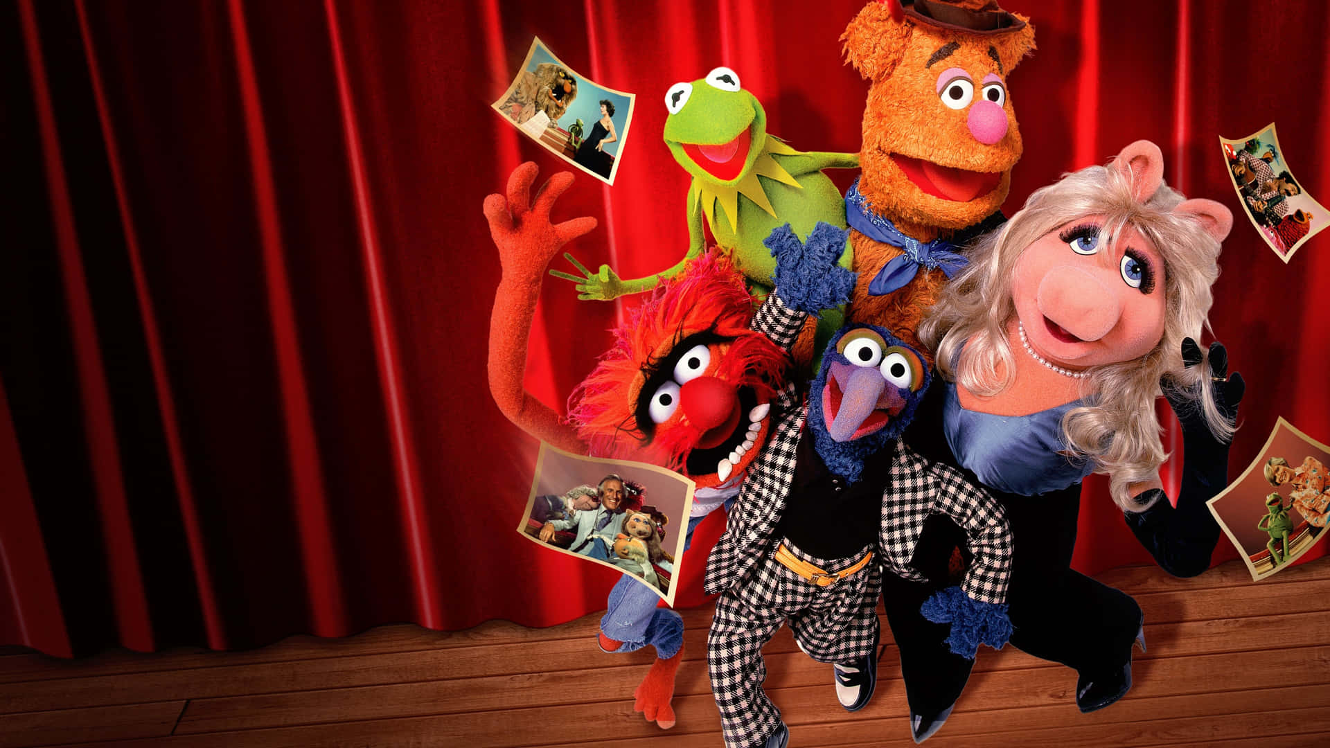 A Classic Throwback to the Iconic Muppet, Animal Wallpaper