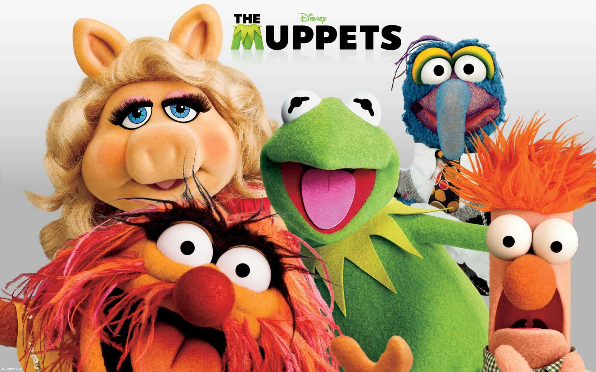 The Muppets Movie Poster Wallpaper