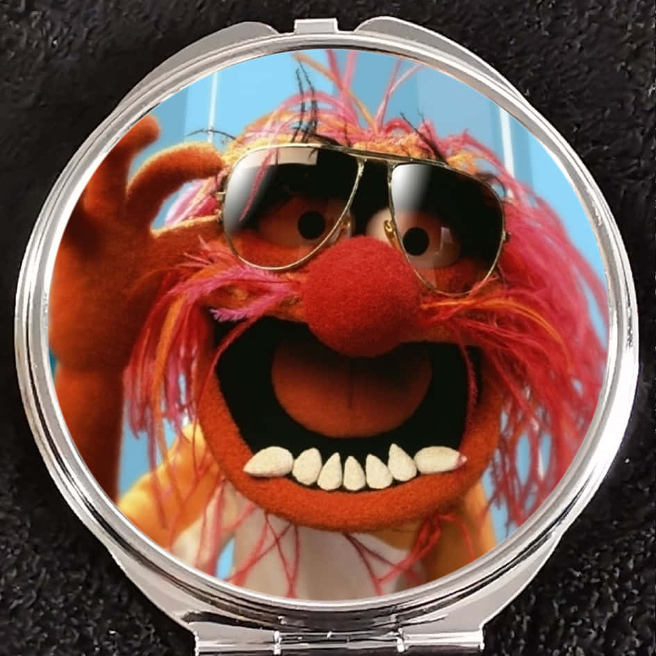 ¡quesiga La Música De Los Muppets Animal! Fondo de pantalla